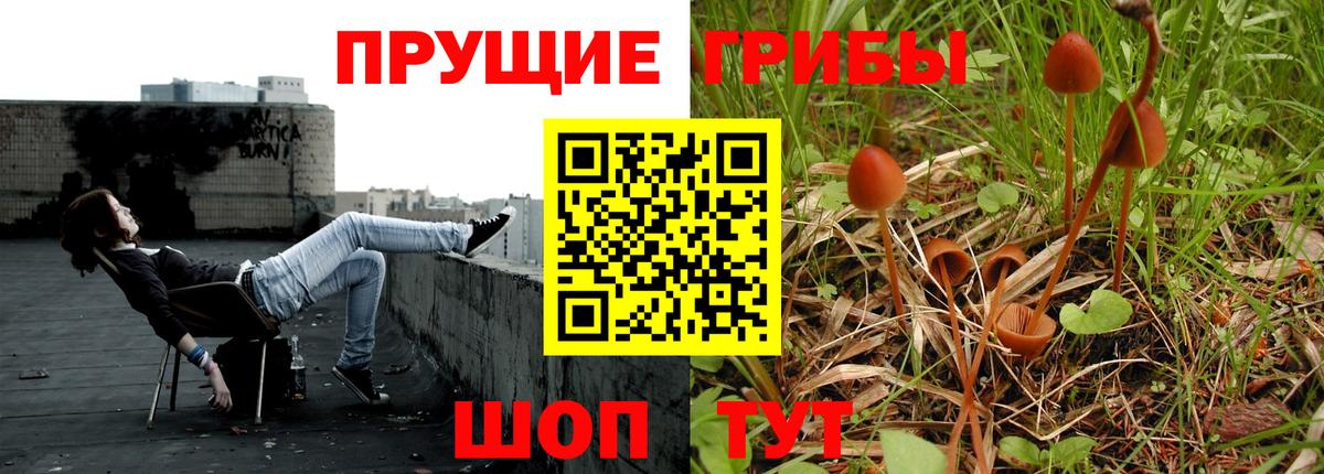 Ливны  Псилоцибиновые грибы Cubensis  Вход с VPN 
